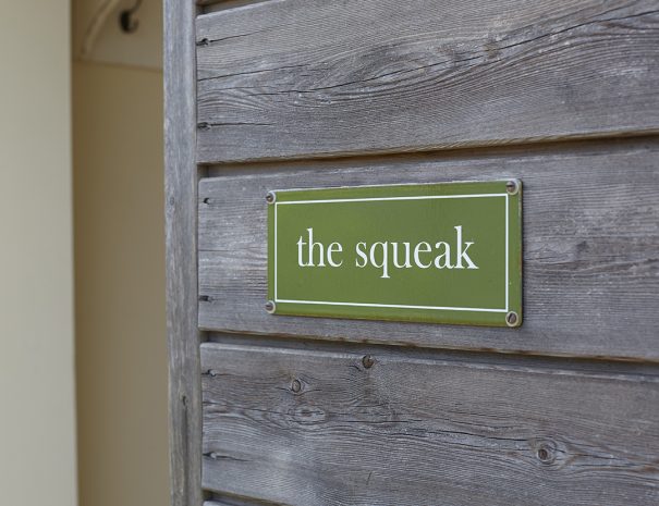 The Squeak